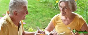 Alimentação adequada para idosos Alimentação adequada para idosos